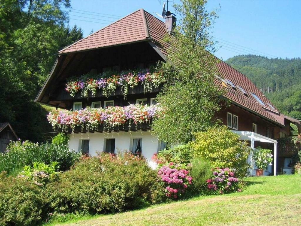 Apartmán Haus Schneider Gutach Exteriér fotografie